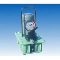 力高液压设备今日的质量 精品电动泵 电动泵