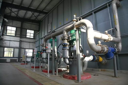 送你一个减龄神器,你想要么